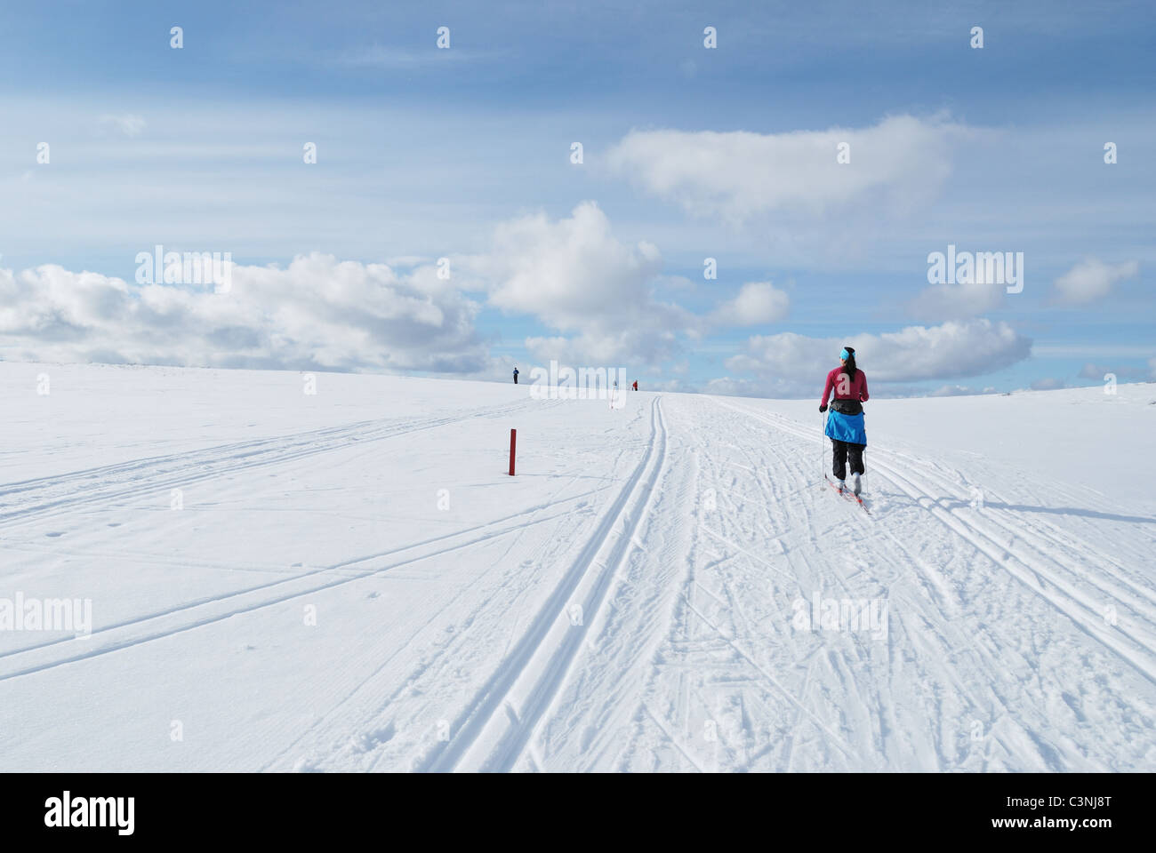 Sciare a Kiilopaa, Saariselka, Inari, Lappland finlandese Foto Stock