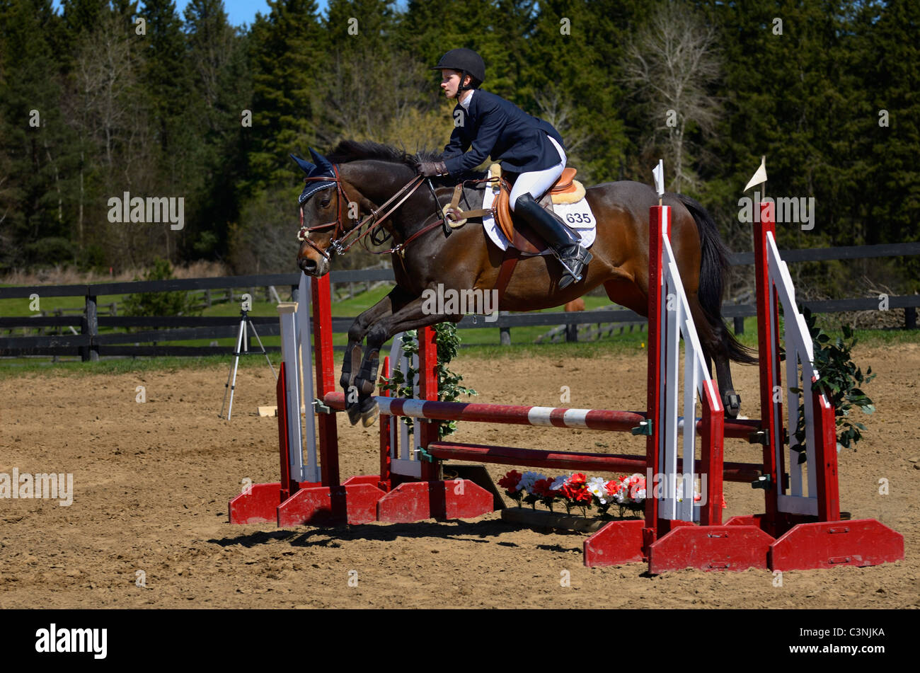 Teen horse rider saltando su un oxer ramped recinzione esterna di spettacolo equestre concorrenza ontario Foto Stock