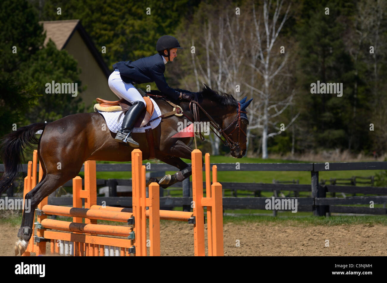 Cavallo purosangue rider saltando su un oxer recinzione esterna di spettacolo equestre concorrenza ontario Foto Stock