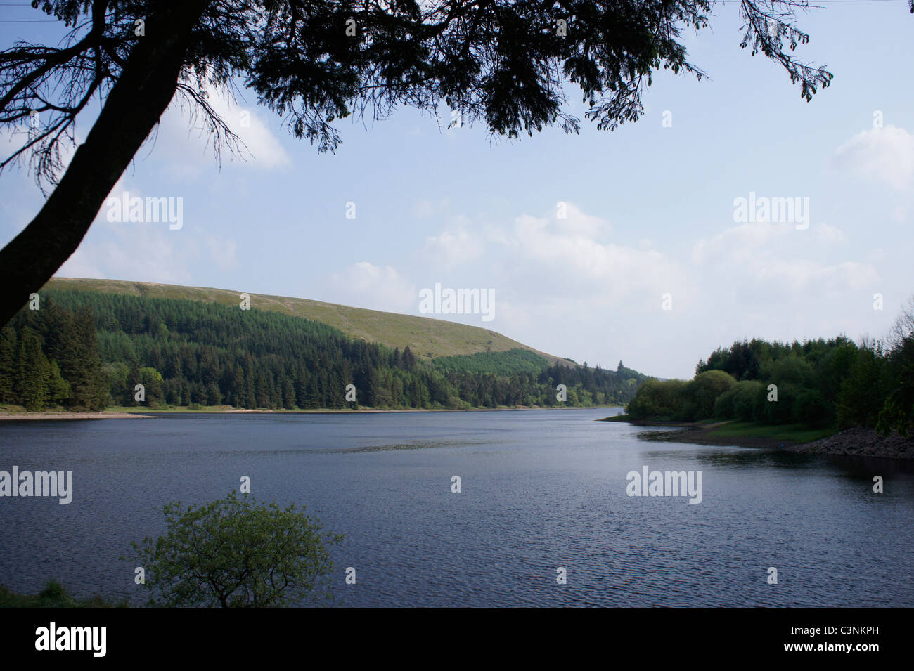 Serbatoio Pontsticill nel Parco Nazionale di Brecon Beacons, Wales UK 110696 Brecon-Walk Foto Stock