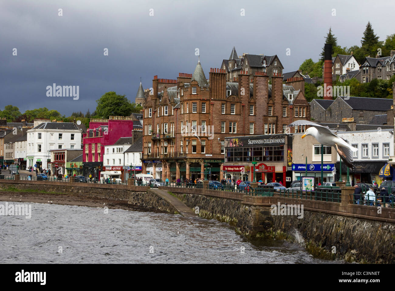 Città balneare di oban gateway per le isole Argyll and Bute Scozia Scotland Foto Stock