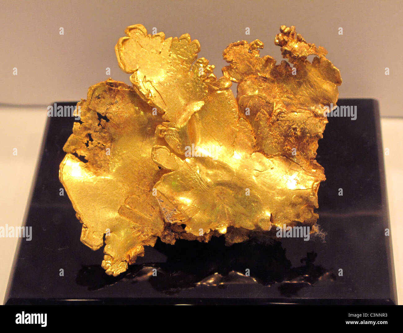 Primo piano immagine di un naturale Pepita d'oro, come si trovano in natura, dall'Arizona. Buona immagine per illustrare la finanza, oro prezzi. Foto Stock