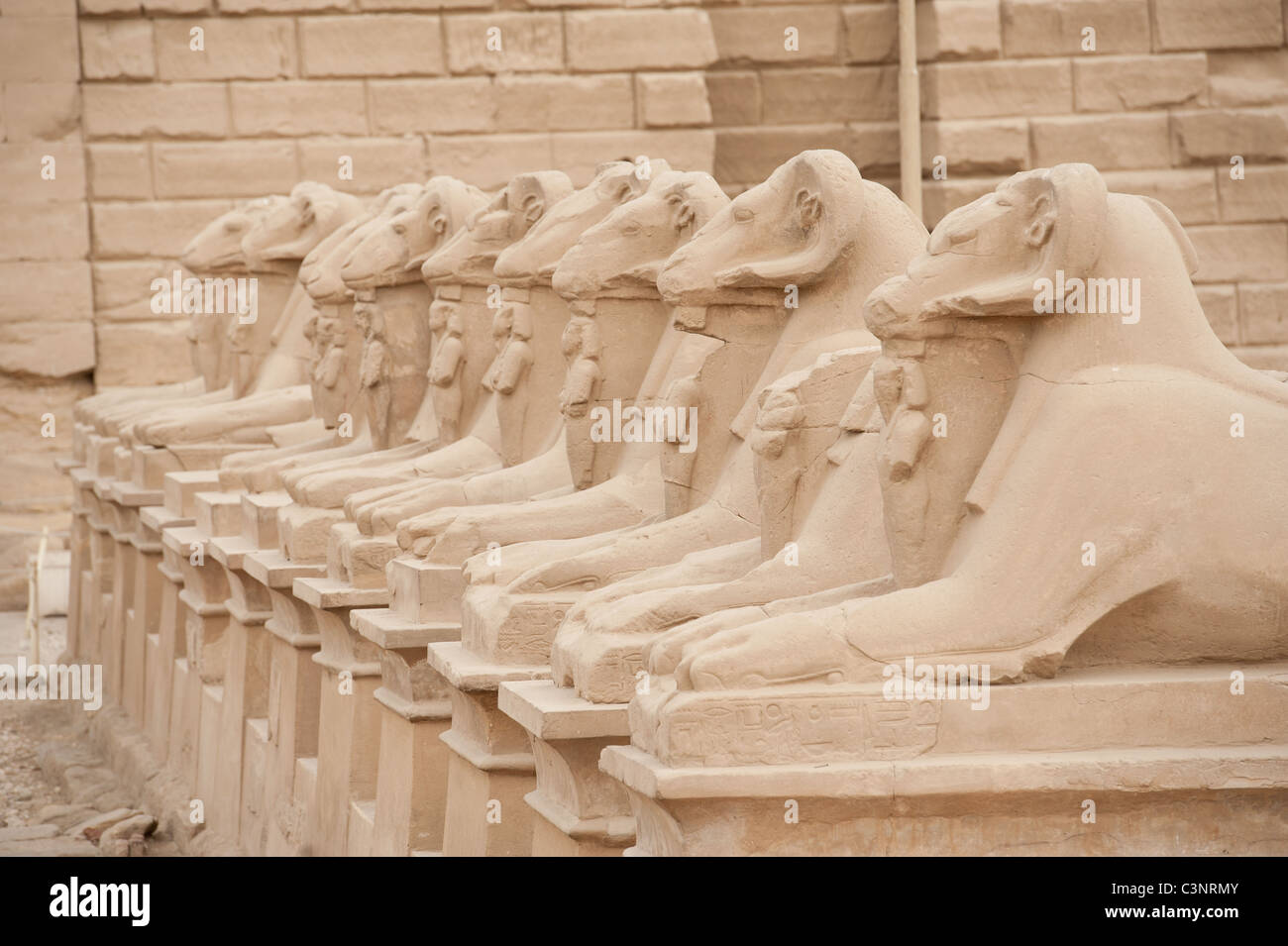 Ram intitolata avenue di sfingi di Tempio di Karnak a Luxor Foto Stock