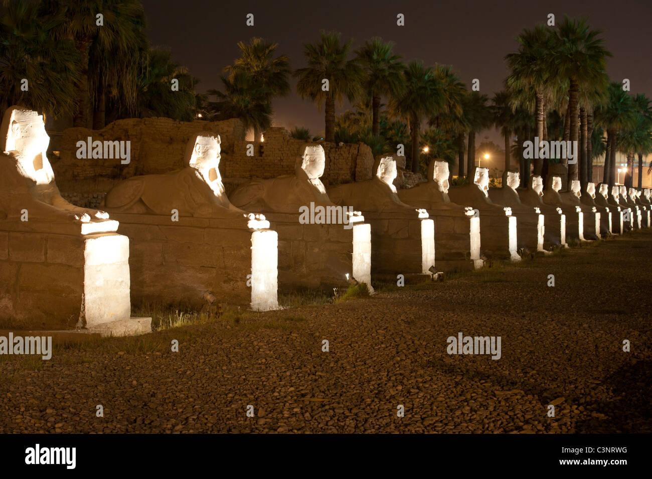 Fila di sfingi di Tempio di Luxor in Egitto di notte Foto Stock