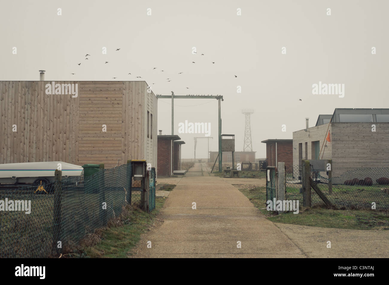 Edifici, uccelli e tralicci a Dungeness, Kent Foto Stock