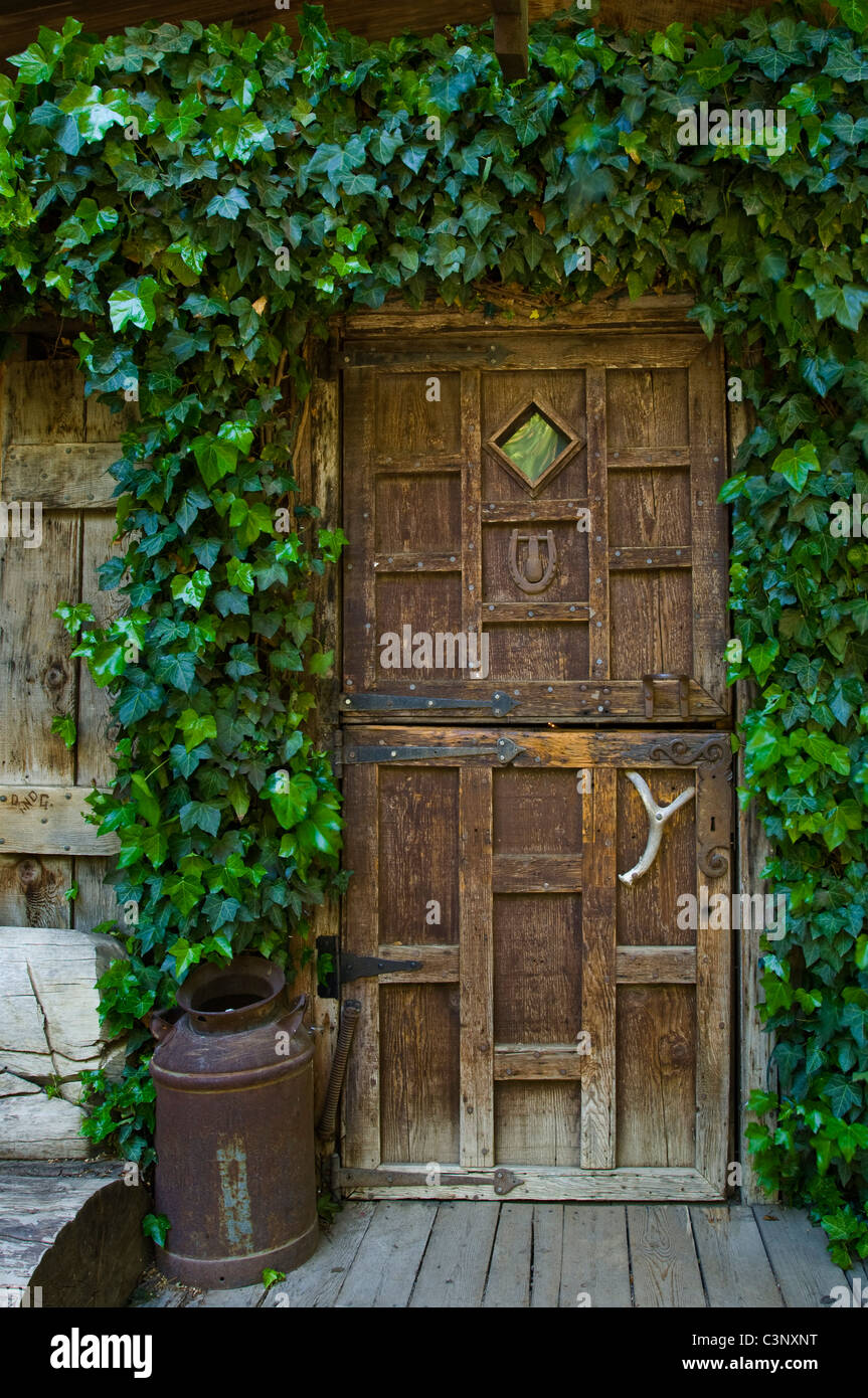 Ivy entrata coperta, Cold Springs taverna, sulla storica tappa del percorso in autobus tra Santa Ynez e Santa Barbara, California Foto Stock