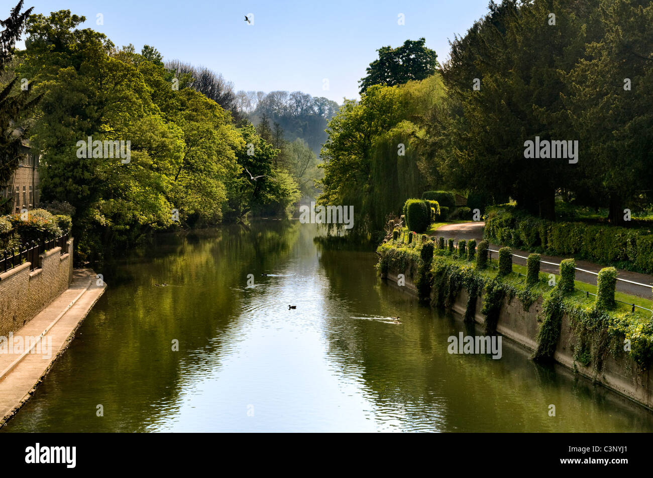 Il fiume Avon adottate dalla chiesa della Santa Trinità in Bradford on Avon, Wiltshire, Regno Unito nelle belle giornate di sole Foto Stock