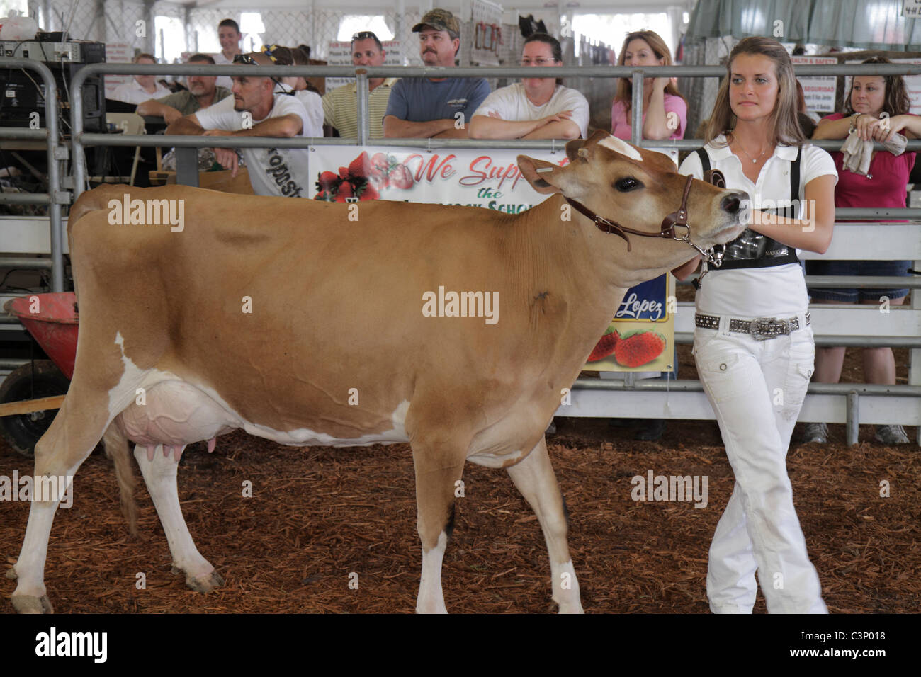 Plant City Florida,Florida Strawberry Festival,FFA,futuri agricoltori d'America,studenti istruzione alunni alunno,evento,teen teen teen age teenager Foto Stock