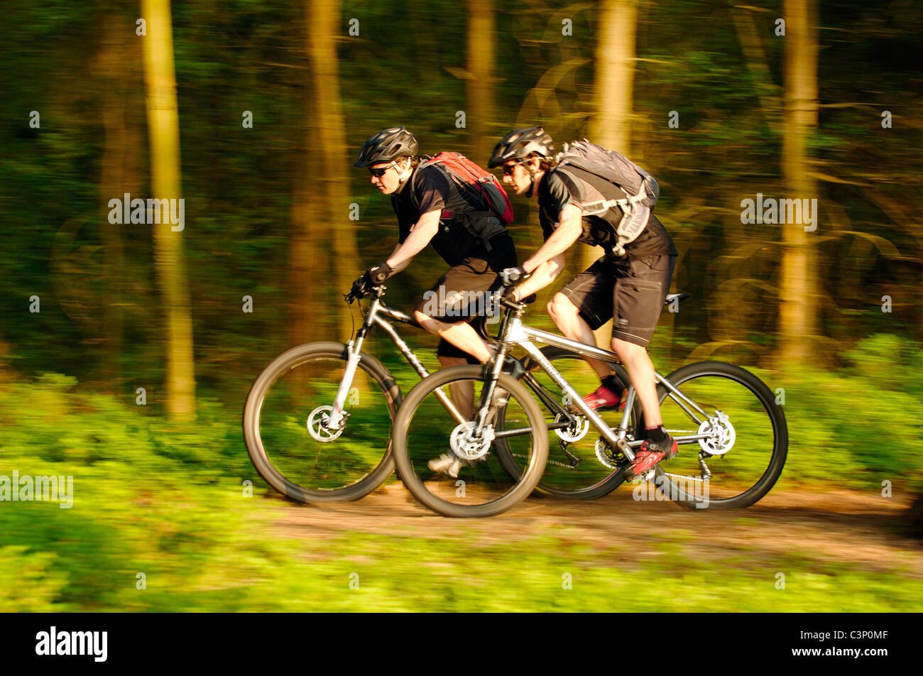 Mountain bike sulla North Downs in Surrey Foto Stock