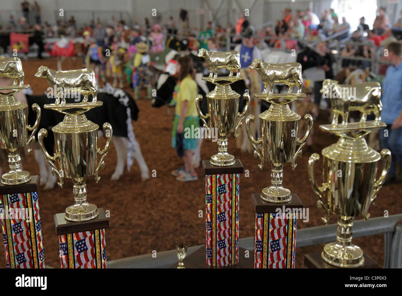 Plant City Florida,Florida Strawberry Festival,evento,FFA,futuri agricoltori d'America,studenti studenti istruzione alunni pupillo,arena,mucca,concorsi costume Foto Stock