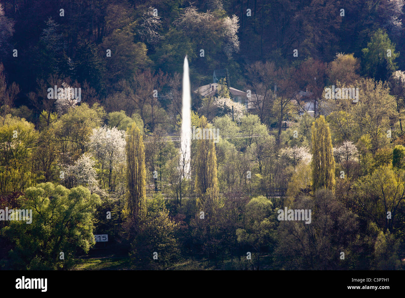 In Germania, in Renania Palatinato, Namedyer Werth, Andernach geyser, vista della foresta con fontana Foto Stock