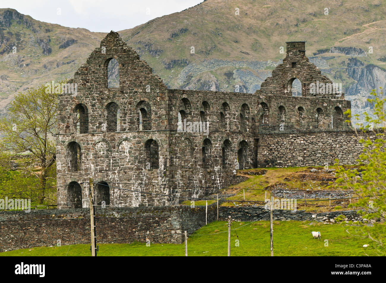 Le rovine di ardesia Ynysypandy mulino in CwmYstradllyn Snowdonia Llŷn Peninsula Gwynedd North Wales UK Foto Stock