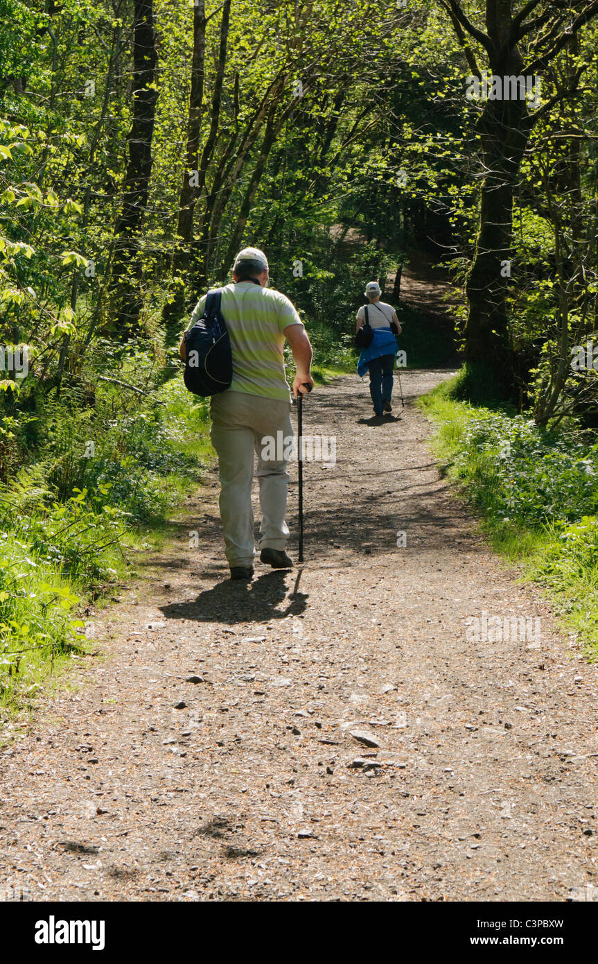 Anziani l uomo e la donna a camminare su un sentiero in una foresta Foto Stock