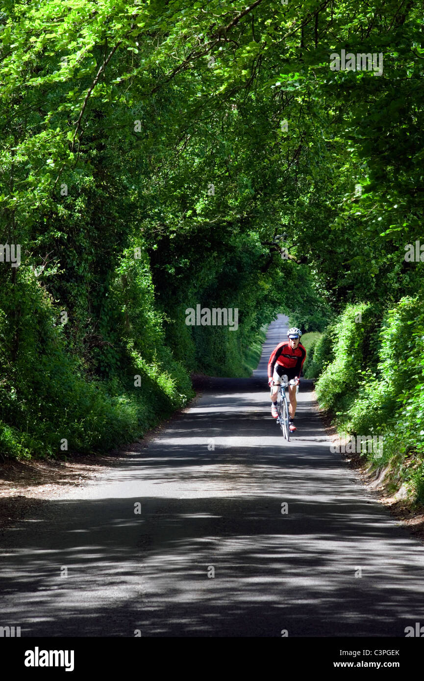 Ciclista su un banco sotto un baldacchino di alberi in un vicolo del paese Foto Stock