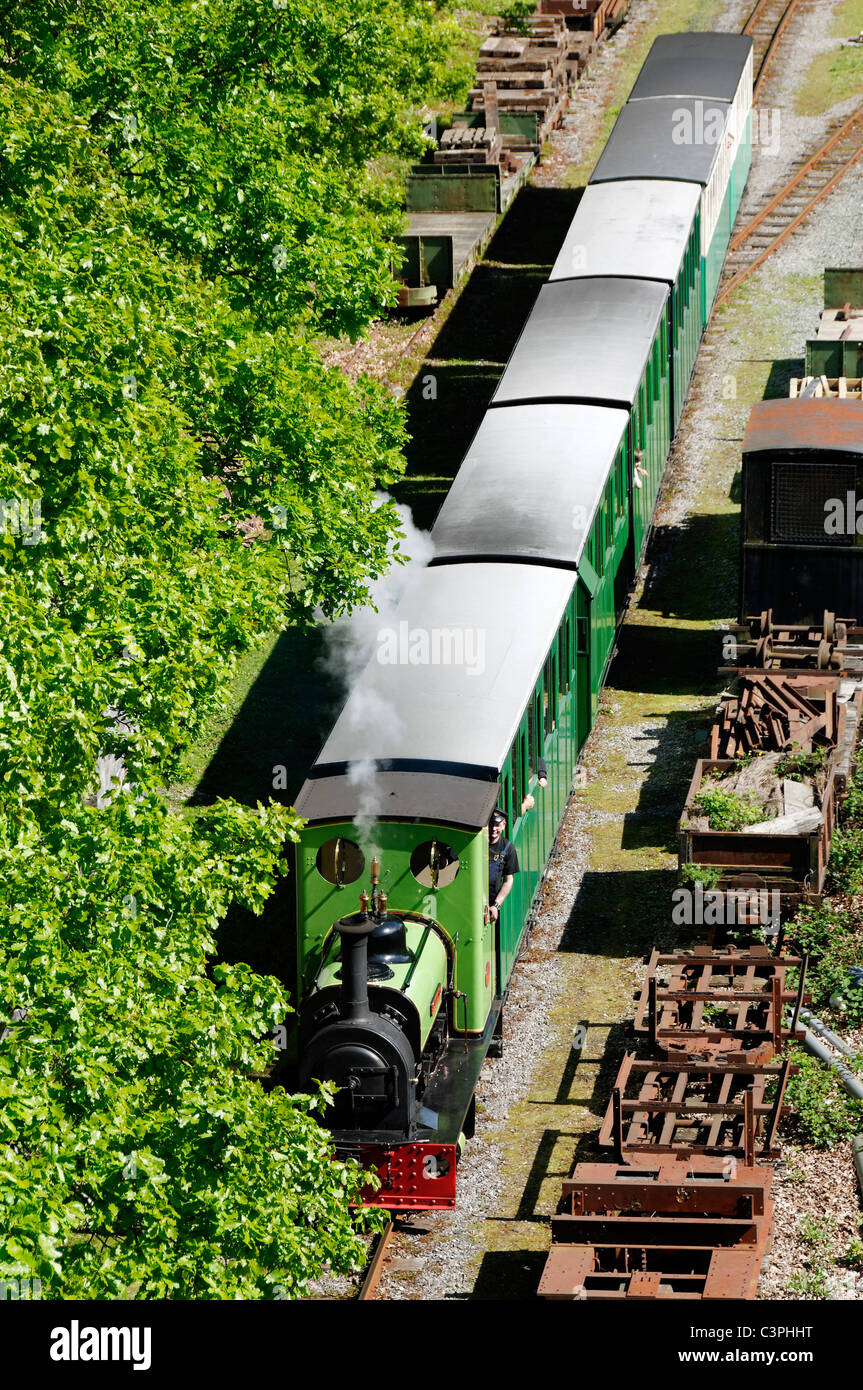 Il Llanberis treno a vapore, Dolbadarn, scoppiettii al fianco di Llyn Padarn. Foto Stock