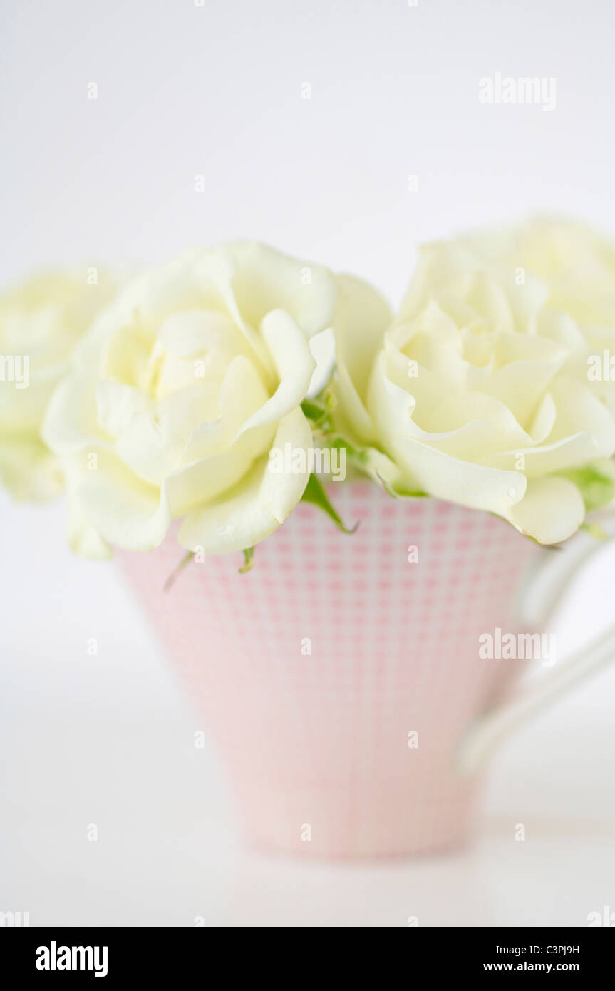 Vaso di fiori con rose bianche su sfondo bianco, close up Foto Stock