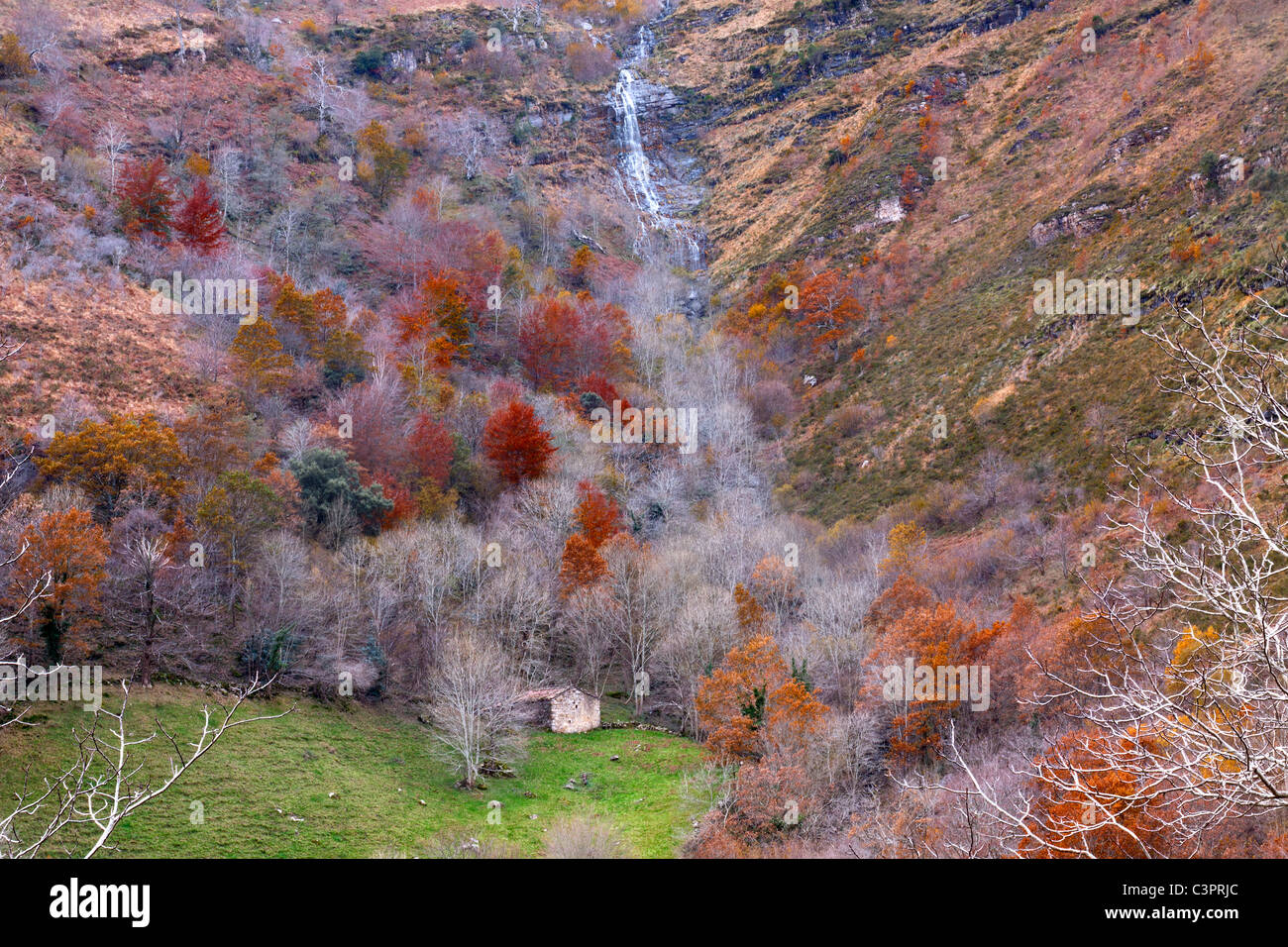 Motivo della valle del fiume (Cantabria, Spagna) Foto Stock
