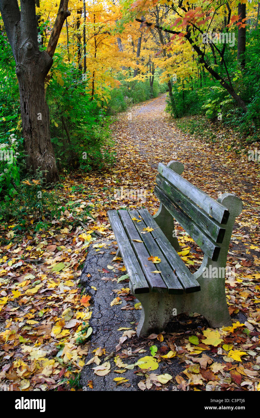 Un percorso a piedi e una panchina nel parco in mezzo ai colori brillanti di una piovosa giornata autunnale, Sharon boschi, Southwestern Ohio, Stati Uniti d'America Foto Stock