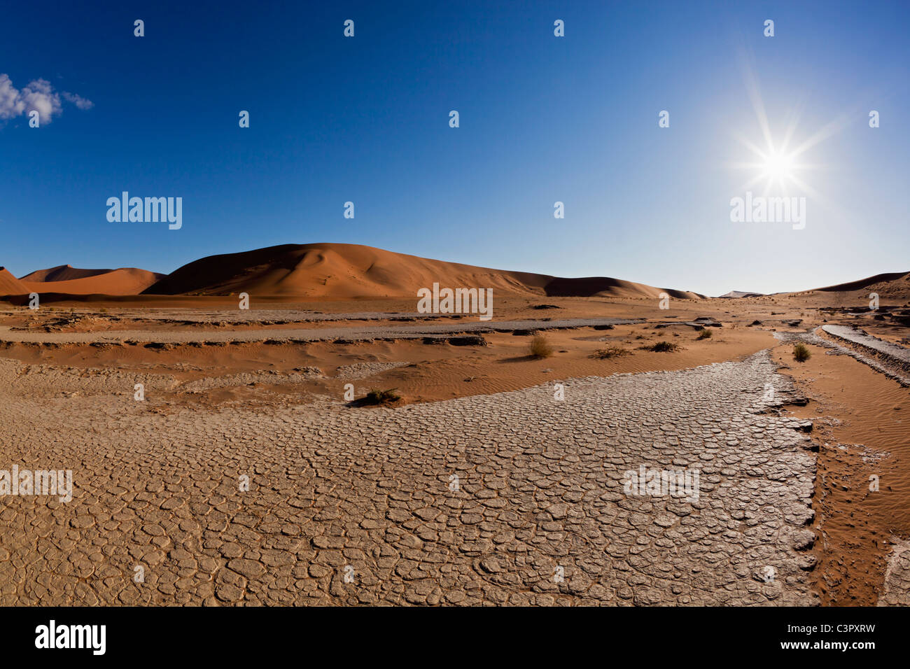 Africa, Namibia, Namib Naukluft National Park, vista di dead vlei nel deserto del Namib Foto Stock