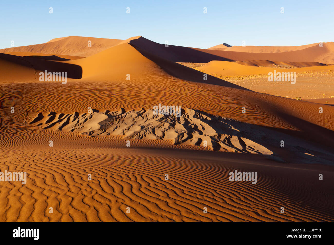 Africa, Namibia, Namib Naukluft National Park, Vista delle dune di sabbia del deserto del Namib Foto Stock