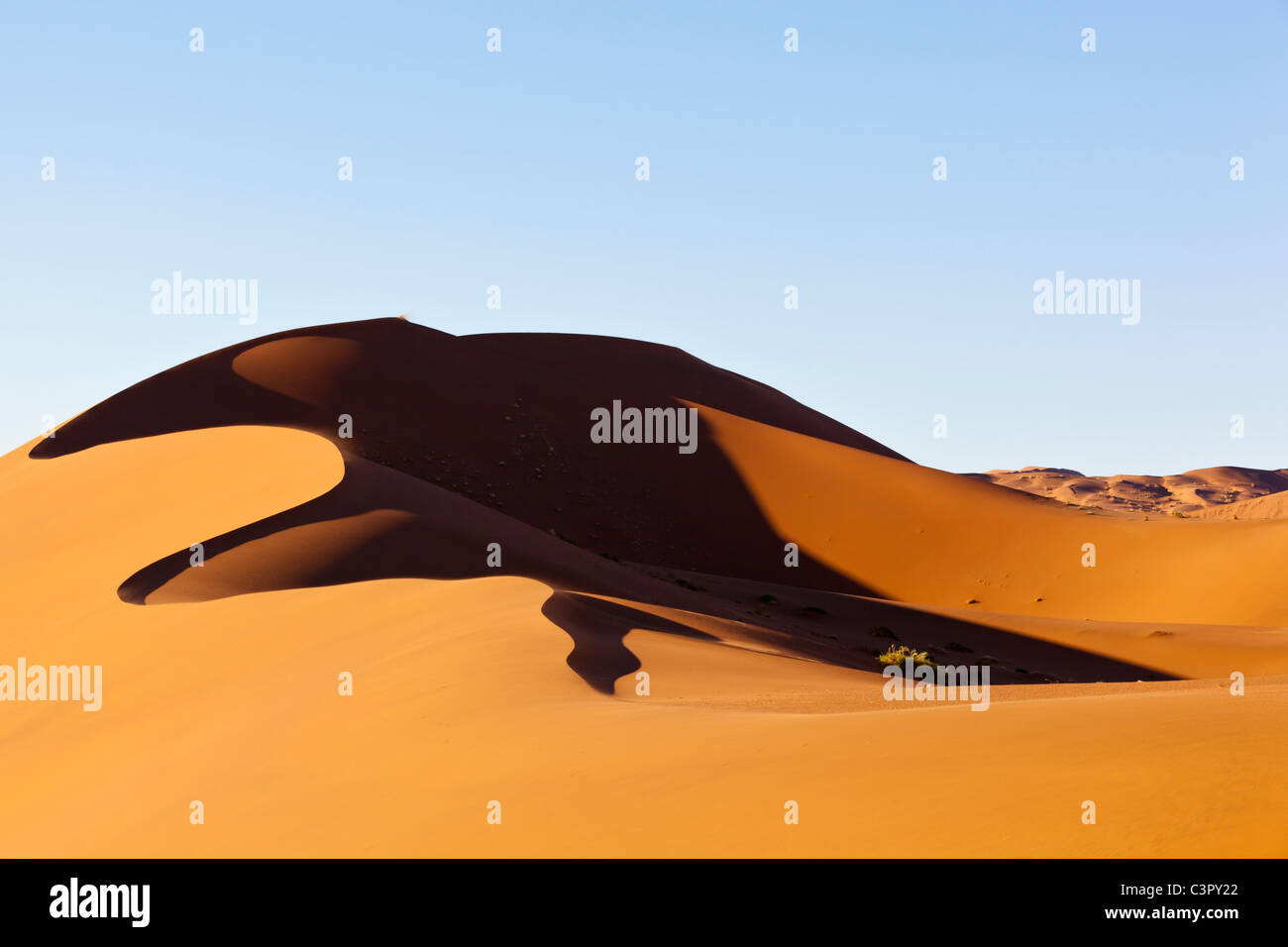 Africa, Namibia, Namib Naukluft National Park, Vista delle dune di sabbia del deserto del Namib Foto Stock