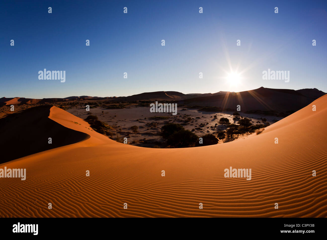 Africa, Namibia, Namib Naukluft National Park, Vista delle dune di sabbia al naravlei nel deserto del Namib Foto Stock