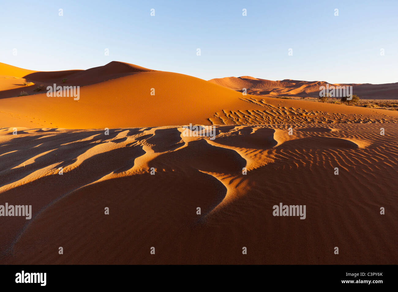 Africa, Namibia, Namib Naukluft National Park, Vista delle dune di sabbia del deserto del Namib Foto Stock