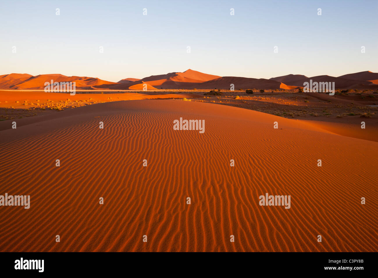 Africa, Namibia, Namib Naukluft National Park, Vista delle dune di sabbia al naravlei nel deserto del Namib Foto Stock