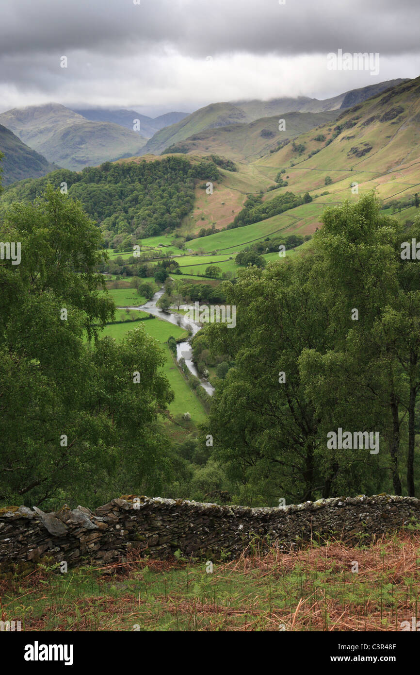 Borrowdale visto da Grange cadde, Near Keswick, Lake District inglese, REGNO UNITO Foto Stock