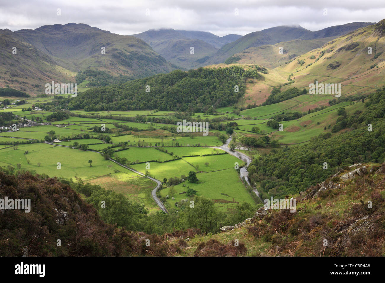 Borrowdale visto da Grange cadde, Near Keswick, Lake District inglese, REGNO UNITO Foto Stock