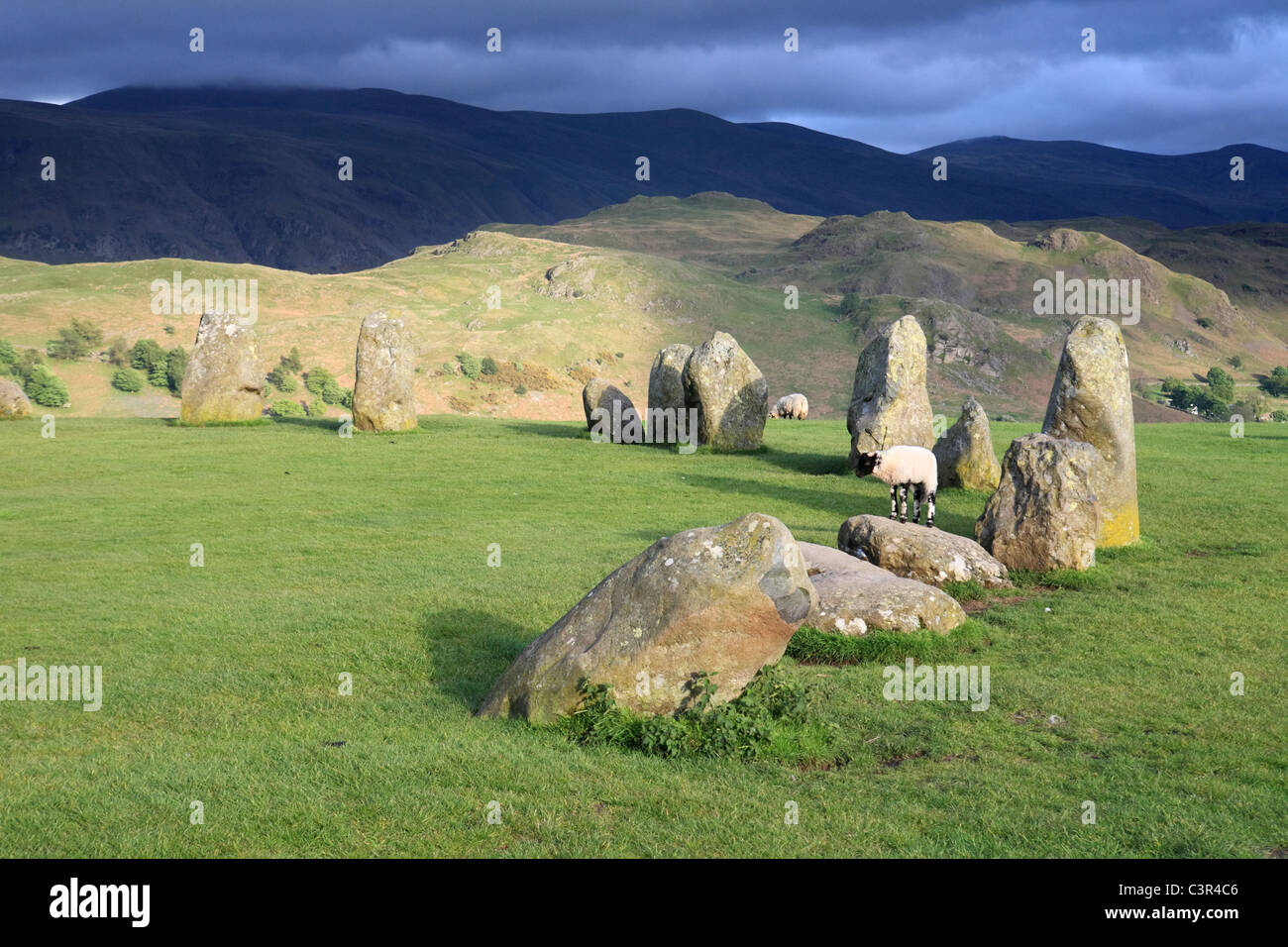 Un agnello sorge su un antico monumento che è Castlerigg Stone Circle, Keswick, Lake District inglese Foto Stock