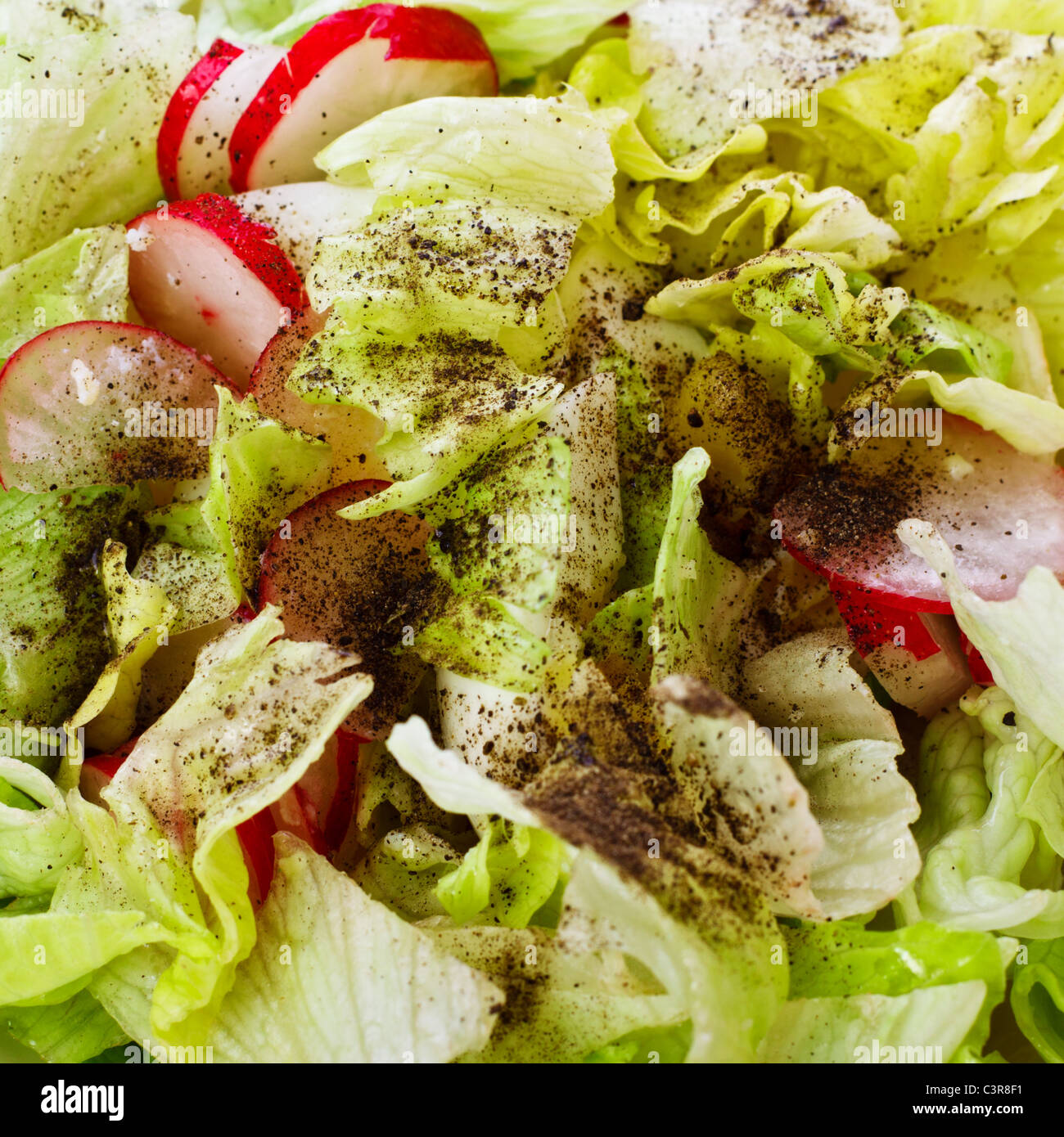 Fresca insalata verde con radicchio e uova Foto Stock