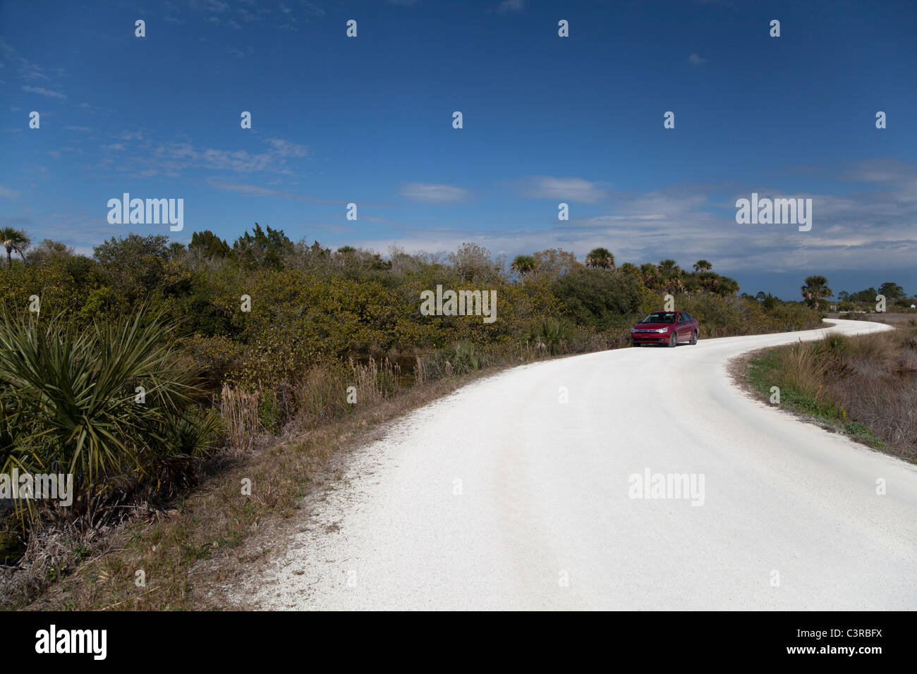 Il punto nero Wildlife Drive, Merritt Island National Wildlife Refuge, Titusville, Florida, Stati Uniti d'America Foto Stock