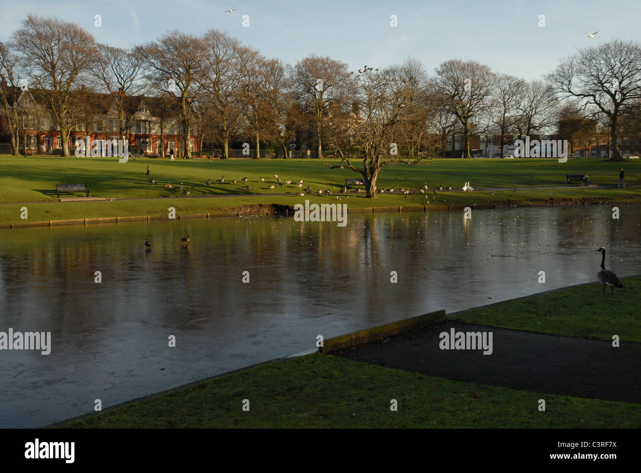 Greenbank Park, Liverpool, in Inghilterra Foto Stock