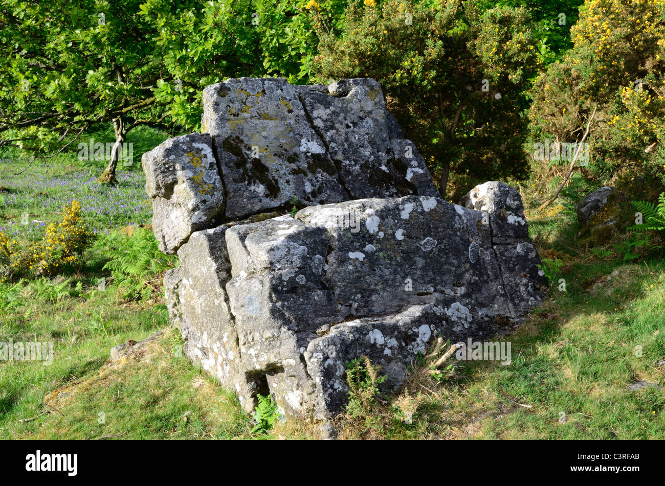 Un naturale affioramento di granito a Dartmoor, vicino a Okehampton, noto come sedia romana Foto Stock