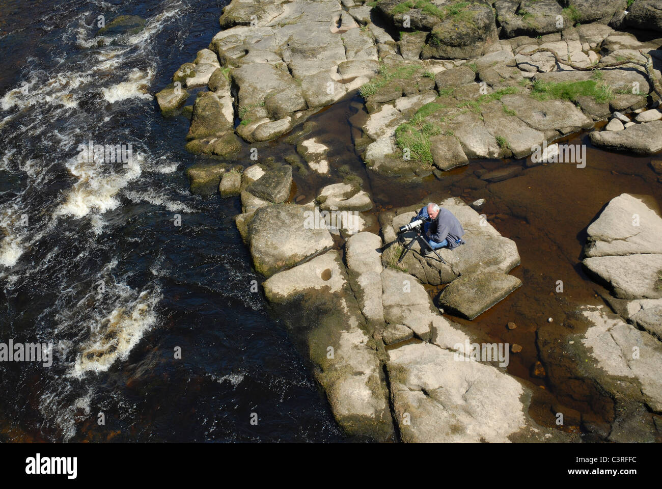 Wildlife Photographer su alcune rocce nel fiume Wharfe, Bolton Abbey, nello Yorkshire, Inghilterra, Regno Unito Foto Stock
