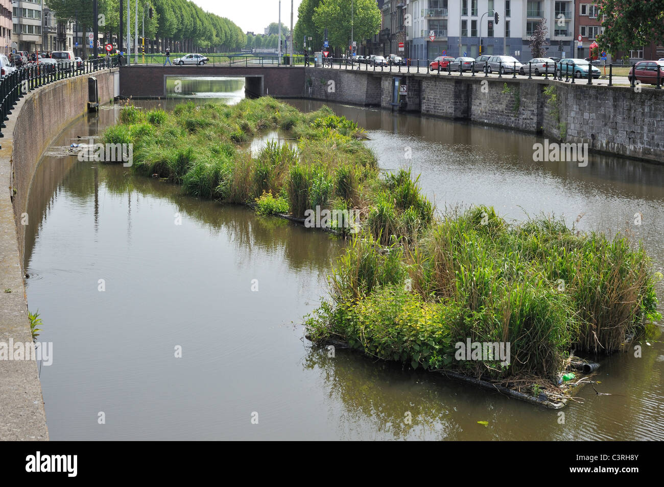 Isola artificiale nel canale per pesci di spawn e luogo di allevamento degli uccelli acquatici, Coupure, Gand, Belgio Foto Stock