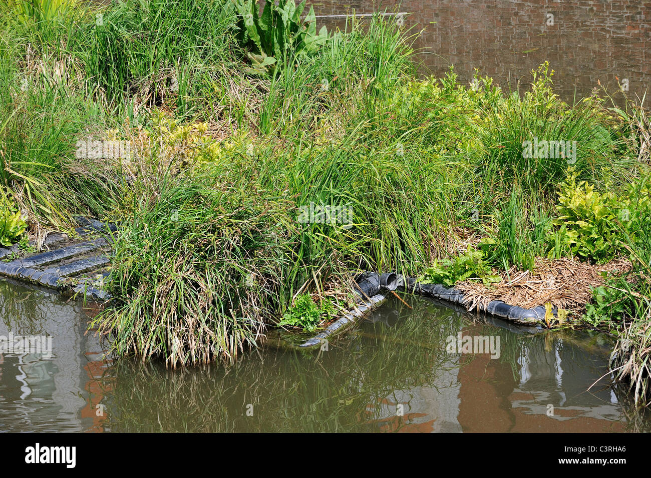 Isola artificiale nel canale per pesci di spawn e luogo di allevamento degli uccelli acquatici, Coupure, Gand, Belgio Foto Stock