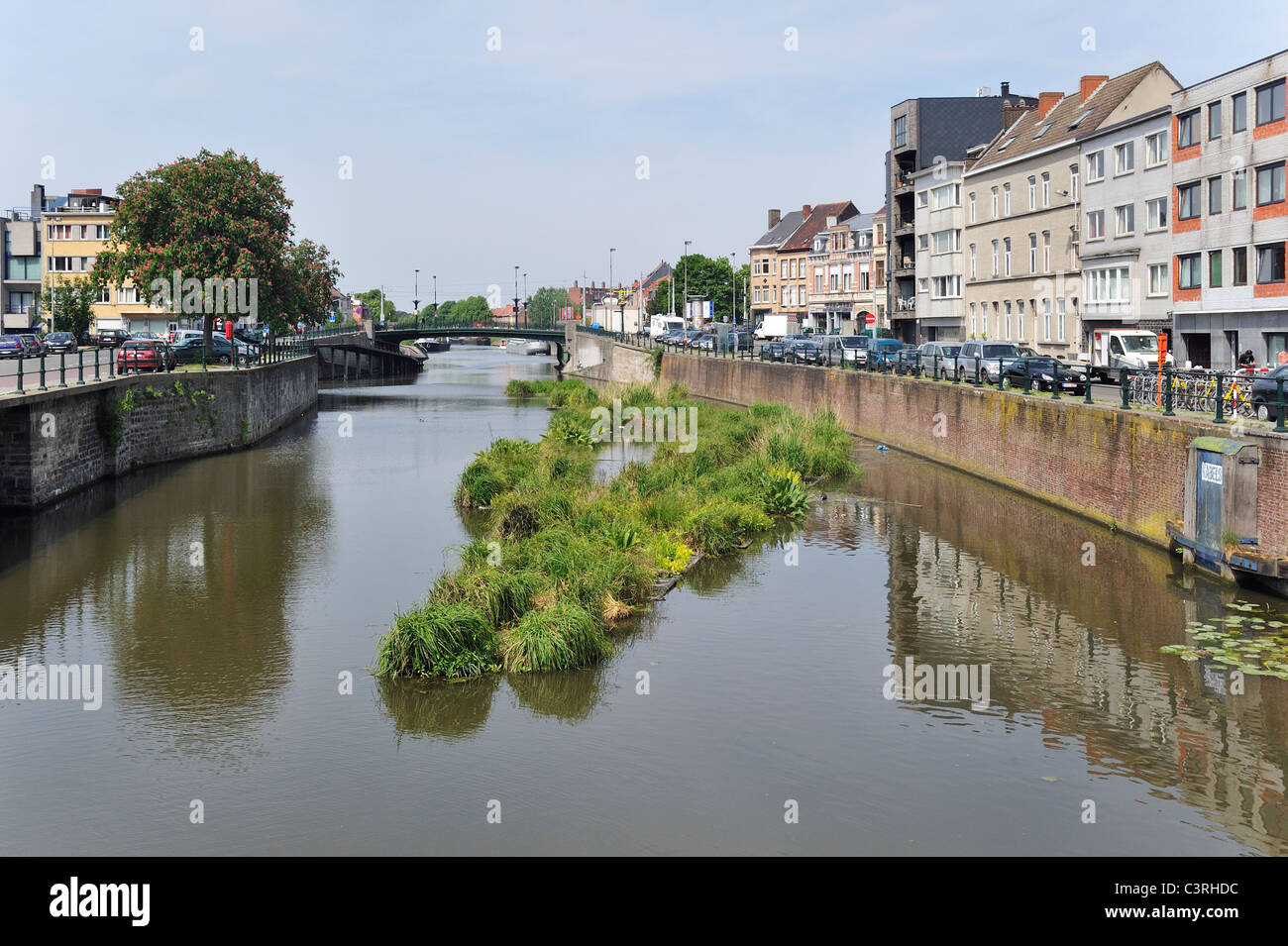 Isola artificiale nel canale per pesci di spawn e luogo di allevamento degli uccelli acquatici, Coupure, Gand, Belgio Foto Stock