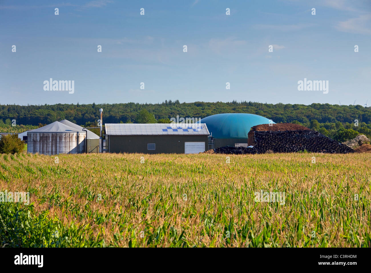 Azienda Agricola a base di insilato di mais digestore anaerobico impianto per la produzione di biocarburanti, Germania Foto Stock