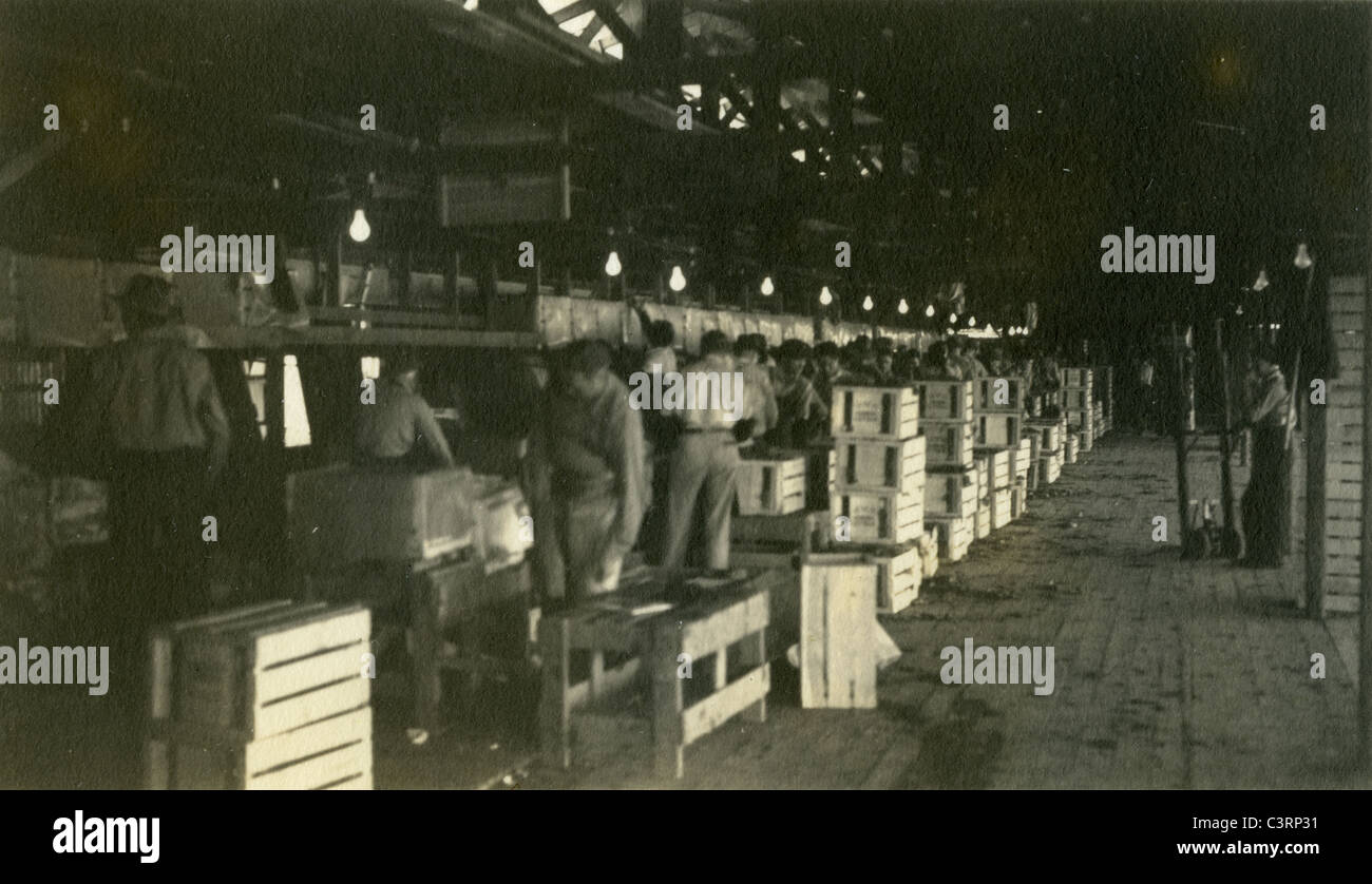La lattuga di imballaggio in Arizona durante la Grande Depressione degli anni trenta house agricoltura classe lavoro Foto Stock