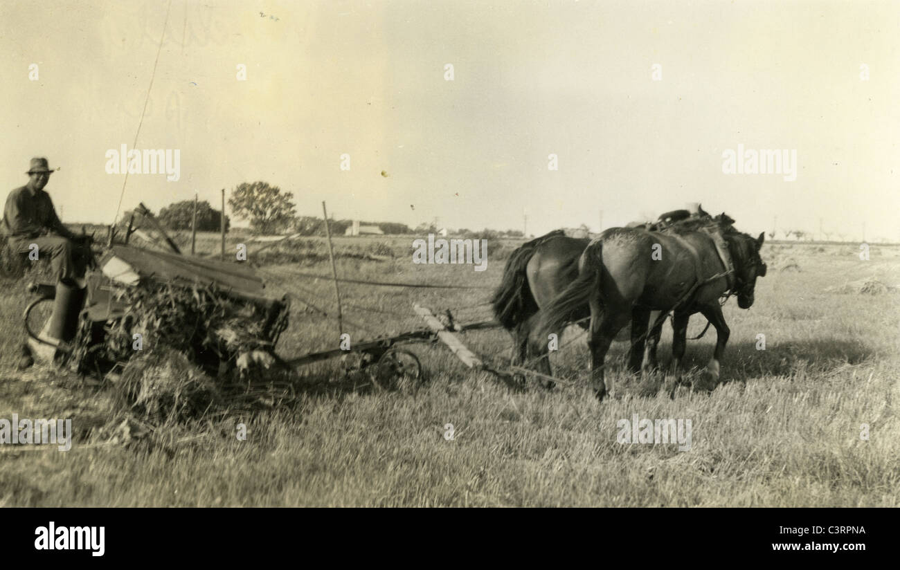 Un agricoltore usa un cavallo team a lavorare un campo di un'azienda durante il 1930s. Foto Stock