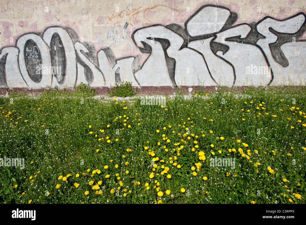 Starachowice, Polonia Foto Stock