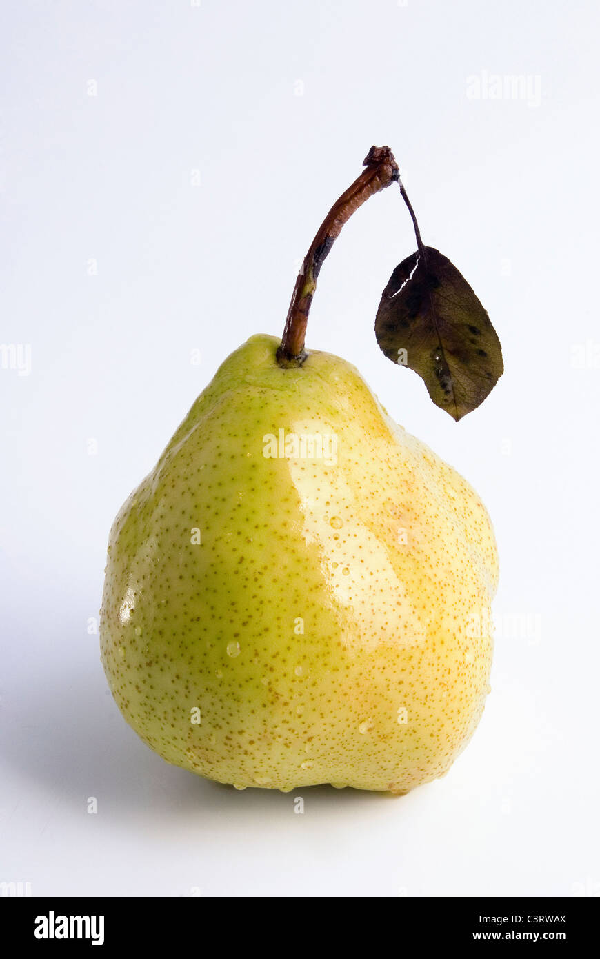 Mature succosa pera ricoperta da gocce di acqua. Isolamento su bianco, fare poco profonde. Foto Stock
