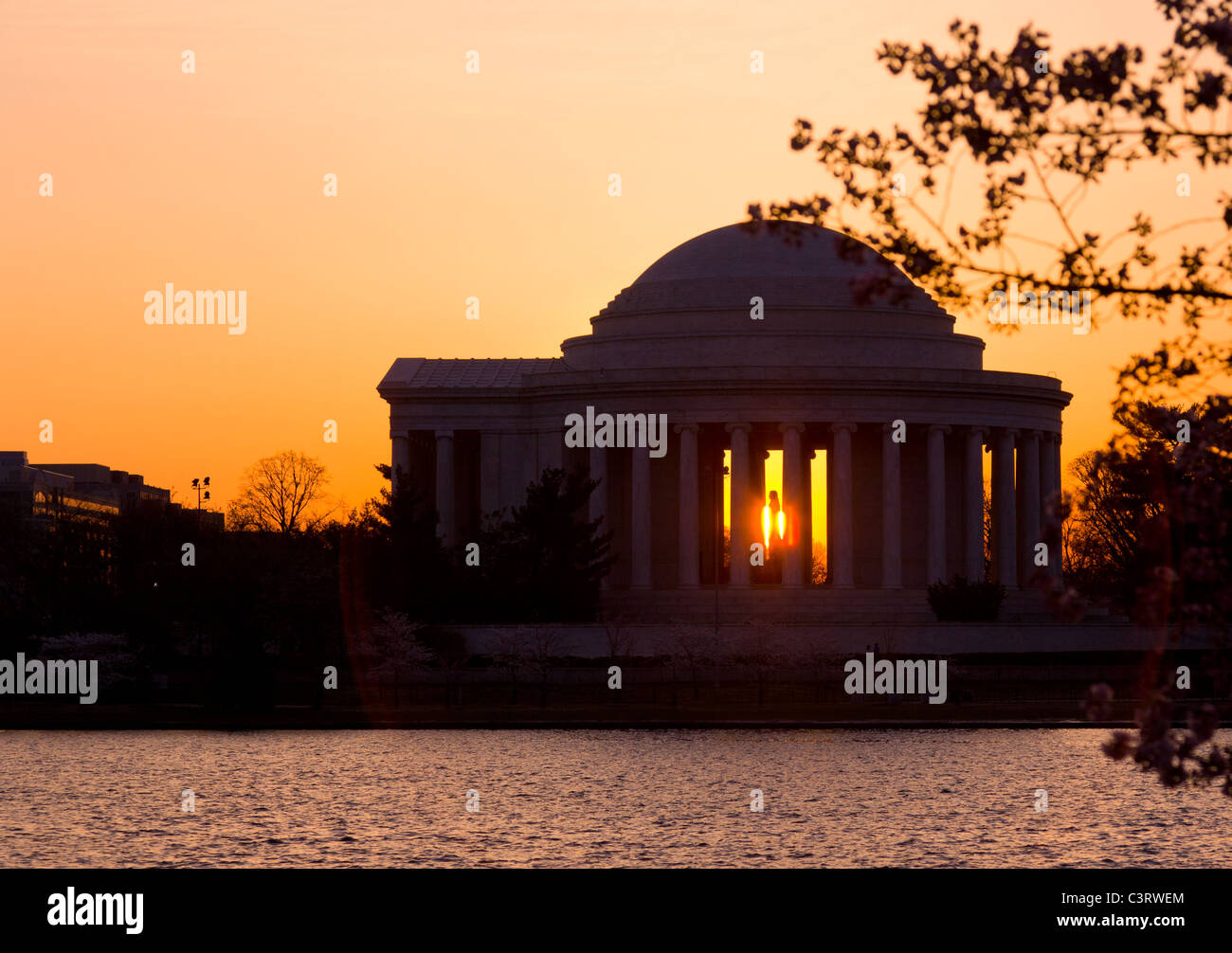 Jefferson Memorial all'alba dal bacino di marea e circondato da giapponese di rosa fiori di ciliegio Foto Stock