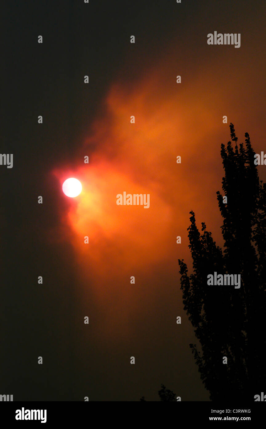 Sole serale attraverso wildfire fumo durante il 2003 wildfire stagione nel Montana Occidentale Foto Stock
