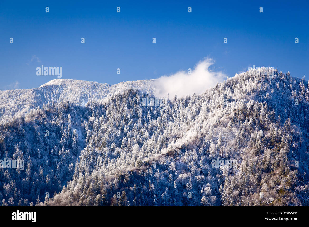 Parco Nazionale di Great Smoky Mountains - Vista del Monte Lecont coperte di neve in inverno scena / inizio primavera, STATI UNITI D'AMERICA Foto Stock