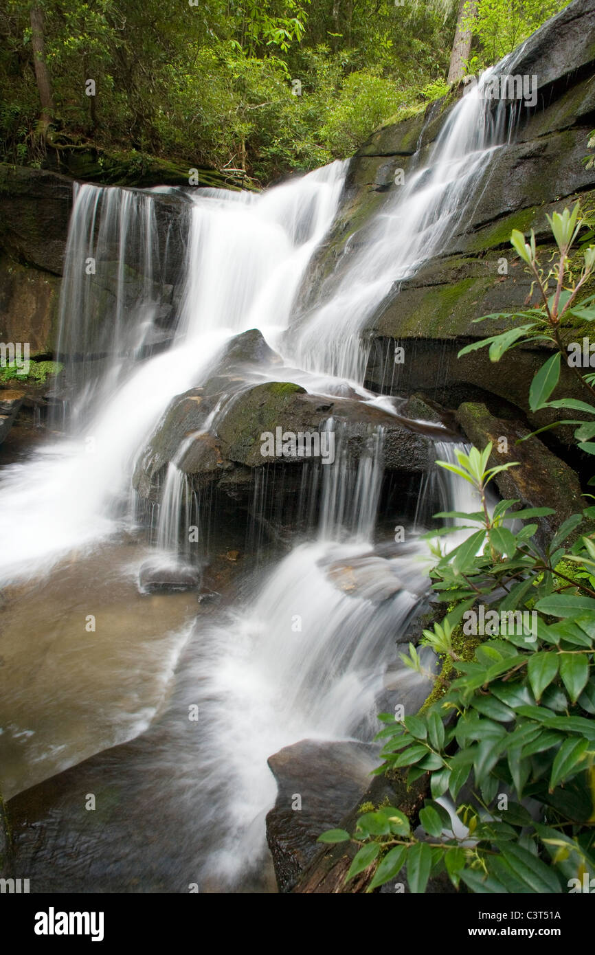Cedar Rock Falls - Pisgah National Forest - nei pressi di Brevard, North Carolina, STATI UNITI D'AMERICA Foto Stock