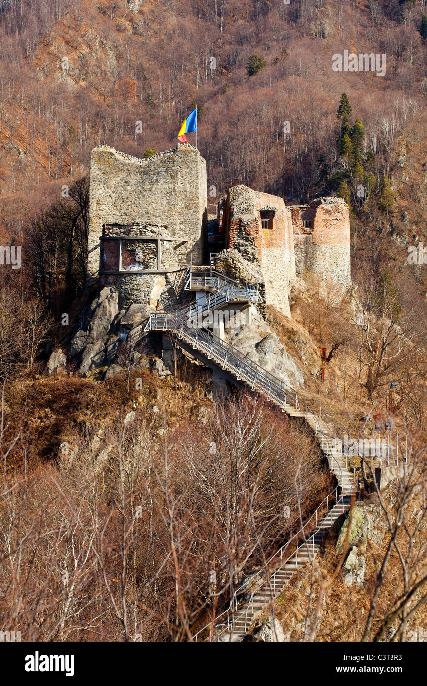 Il castello di Poienari rovine, in Romania - la fortezza di Vlad Tepes (Dracula) Foto Stock