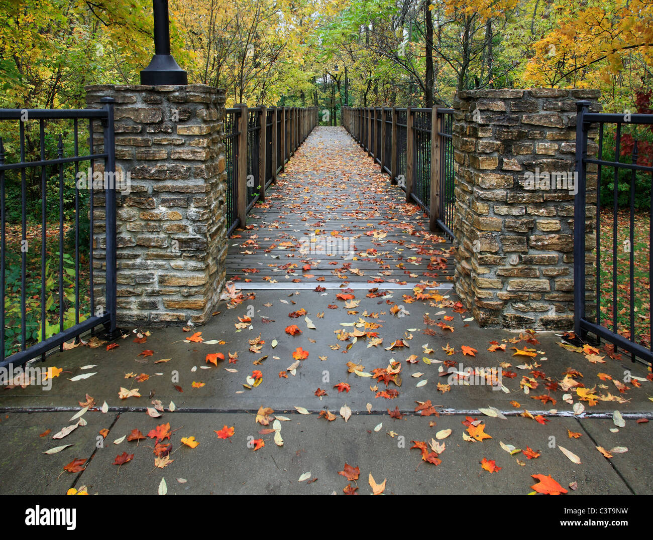 Un ponte pedonale in un giorno di pioggia durante l'Autunno nel parco, Sharon boschi, Southwestern Ohio, Stati Uniti d'America Foto Stock